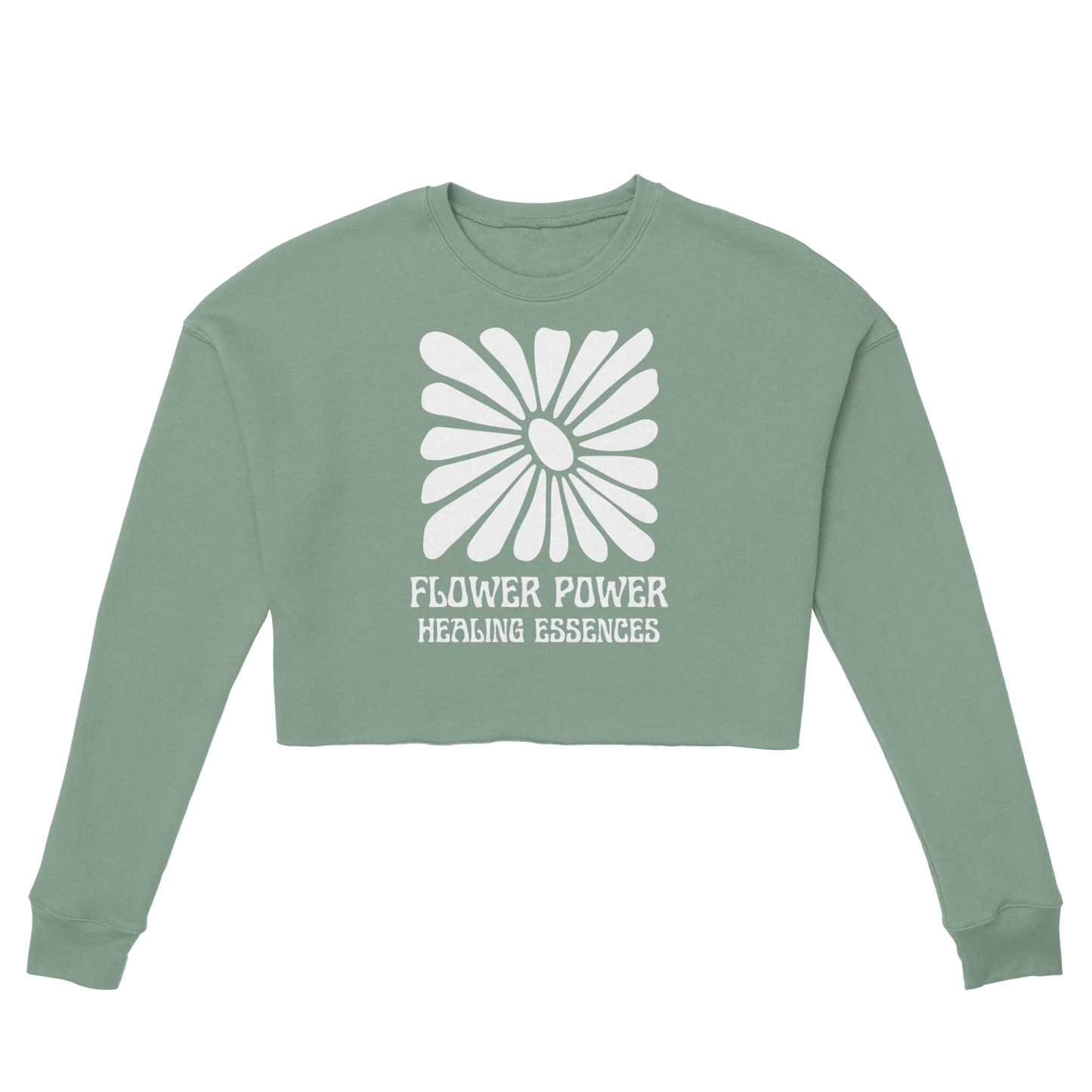 e45e6507-a5f2-47d8-a0b9-0cea5c7290c8