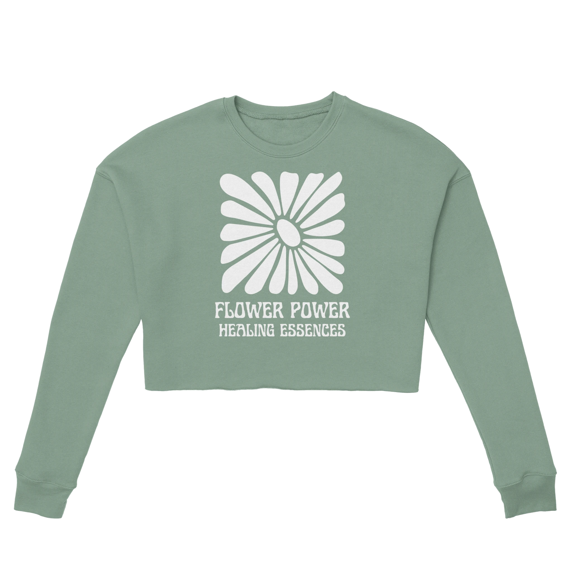 e45e6507-a5f2-47d8-a0b9-0cea5c7290c8